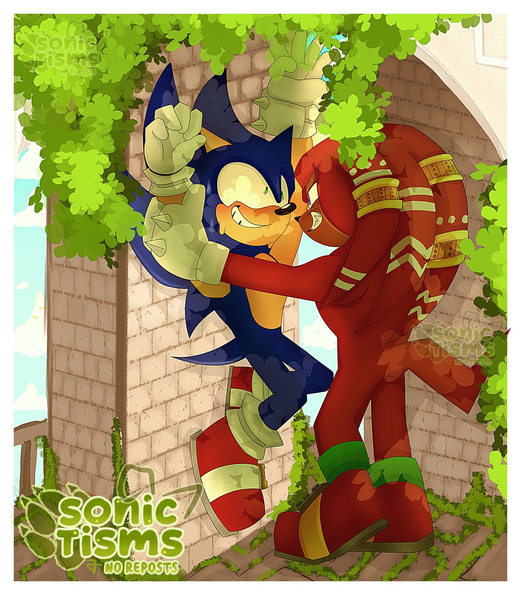 sonictisms's tweet photo. part of me thinks sonic got caught on purpose 🤔🤔
#sonknux ??? https://t.co/7fWmY7wue0