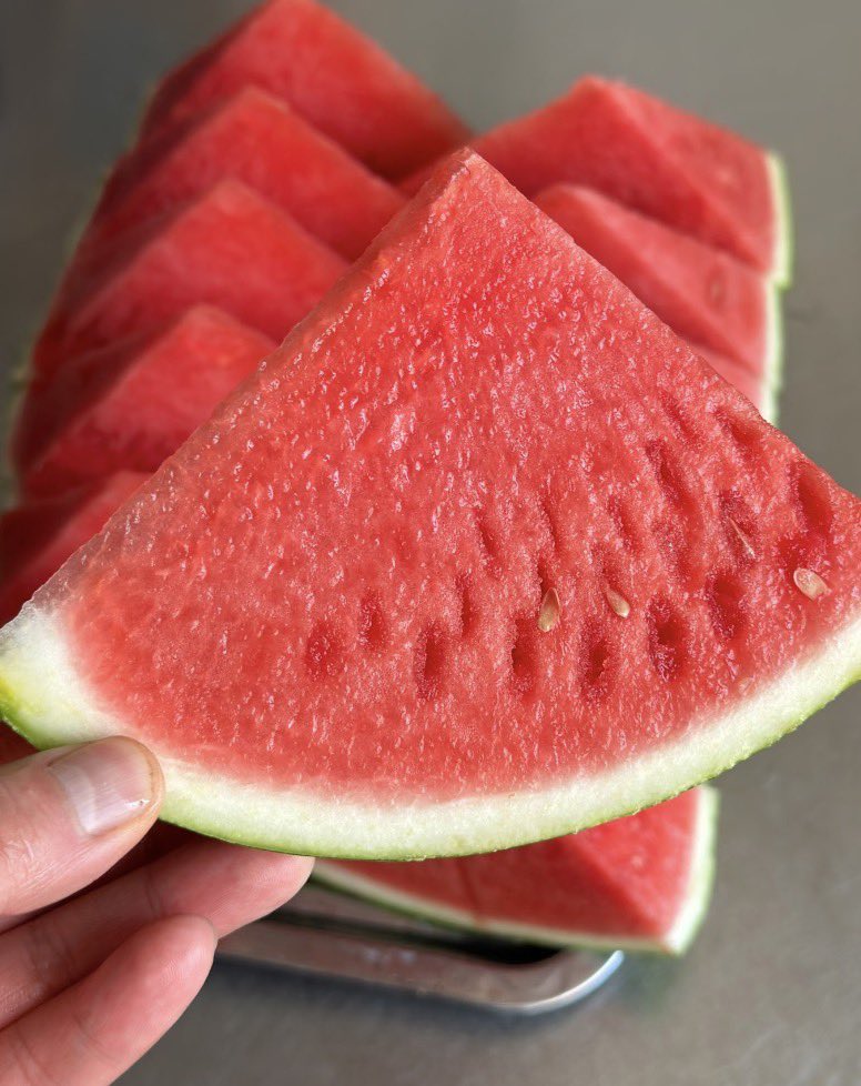 vtyumz's tweet photo. 🍉スイカ好き必見企画🍉
『日本産🍉スイカ 10㎏（10,000円相当）』
抽選で5名様にお届け✨
【応募方法はこちら⬇️】
・本アカウントをフォロー
・リポスト🔁＆いいね❤️
応募締切：9/6 23:59
#懸賞  #キャンペーン  #プレゼント #スイカ #西瓜 #フルーツ #果物好き #夏の味覚 #旬のフルーツ #産地直送 https://t.co/kOveRovx35