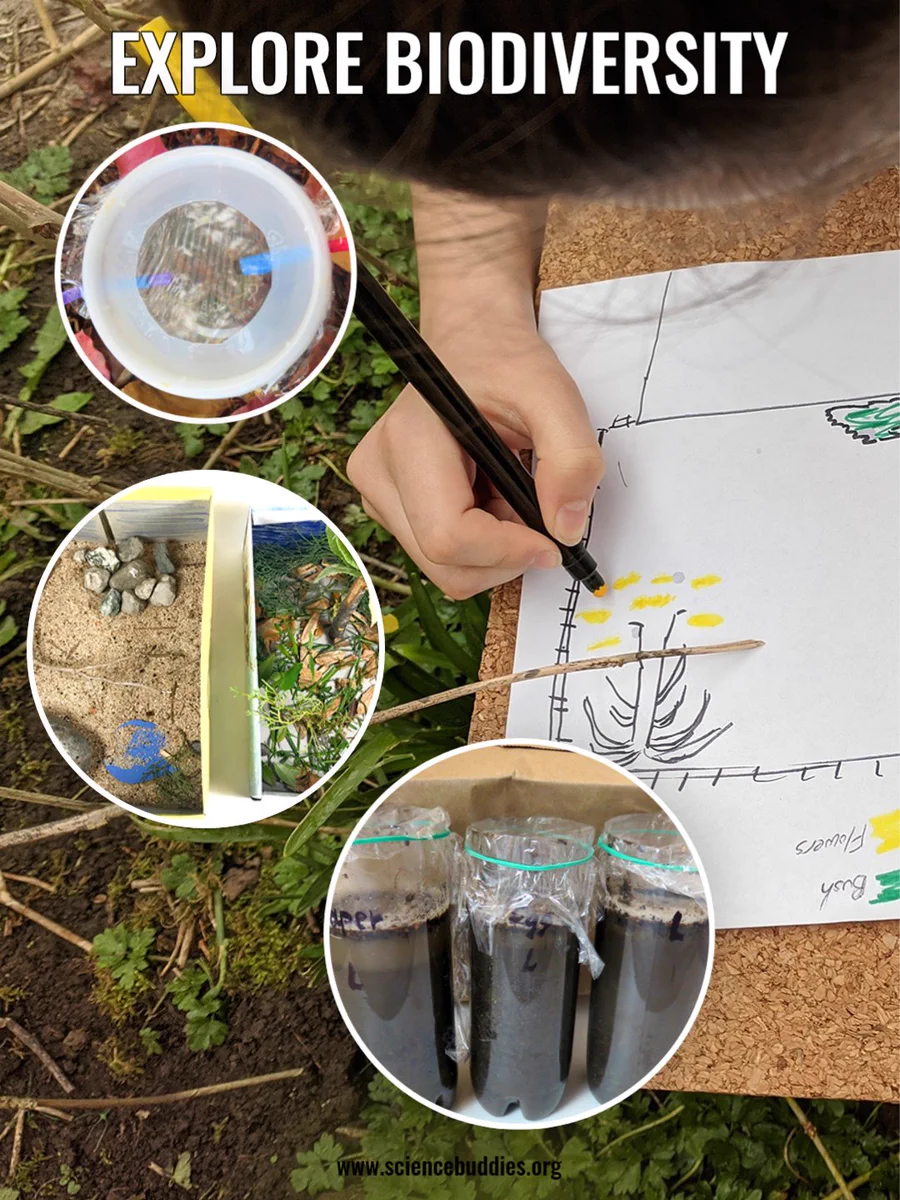 Images from biodiversity activities, including making a bird feeder and a habitat