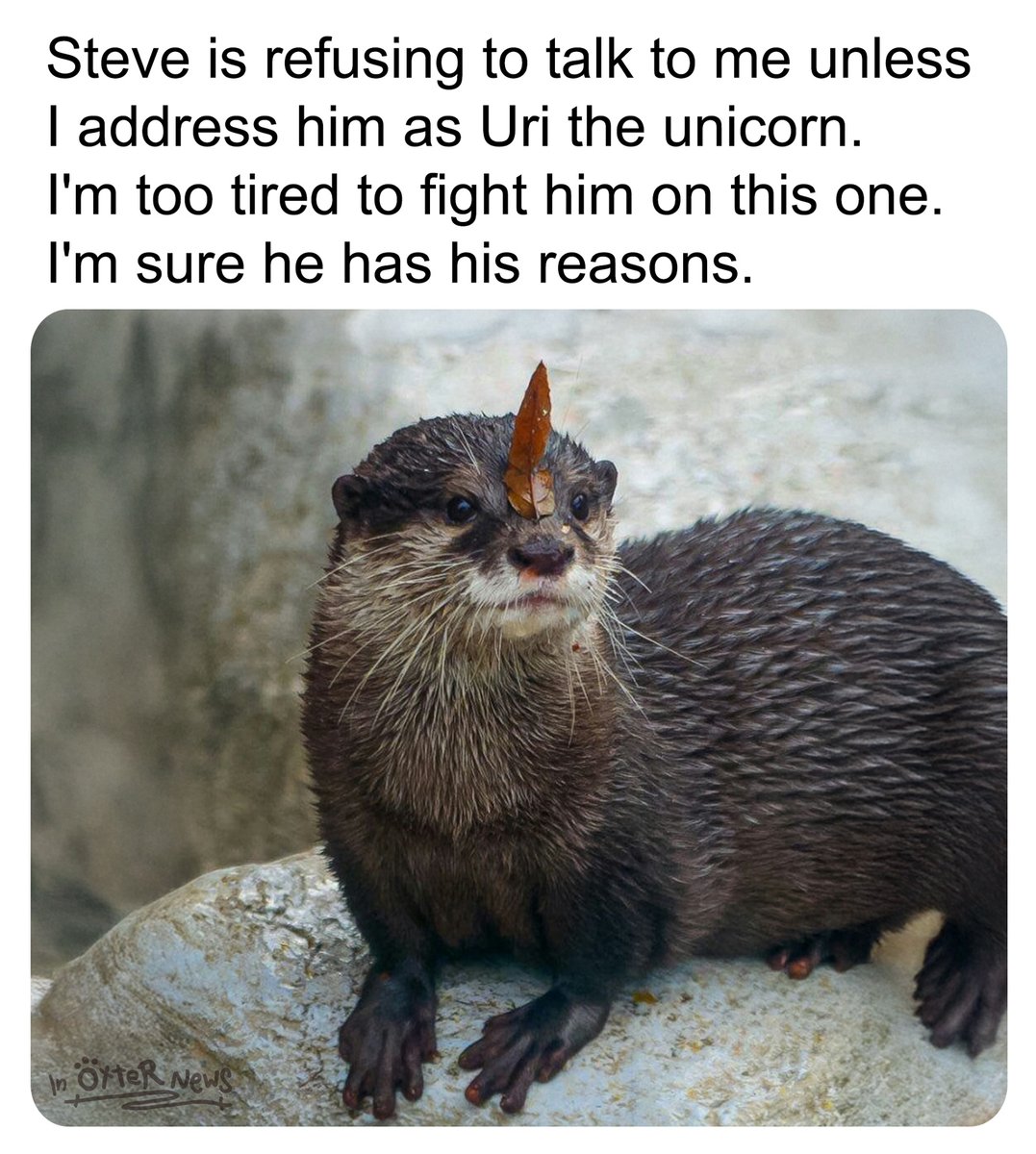 In_Otter_News2's tweet photo. I'm just going along with it.... https://t.co/yMz7ZBrM9a