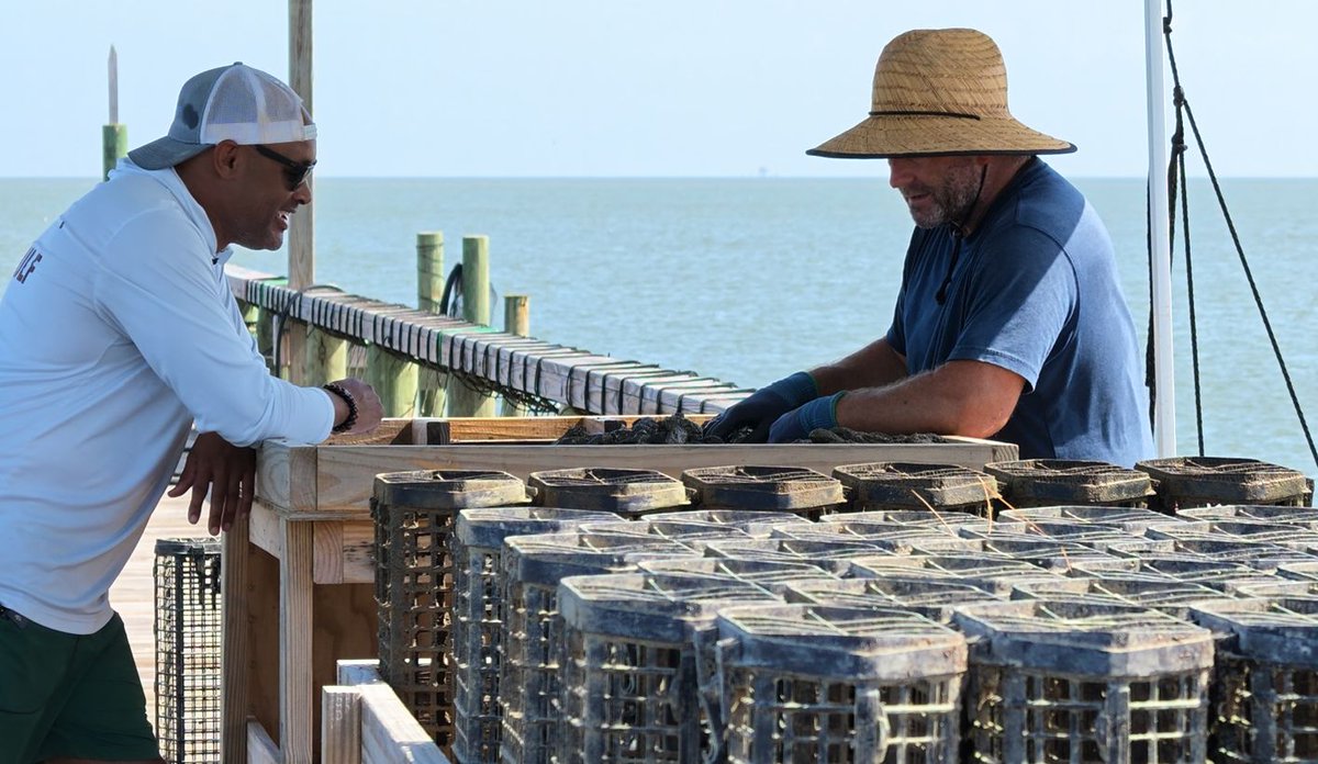 gener8tor's tweet photo. North Gulf Farms Gulf Farms is showing how tradition and new technology can work side by side on the Gulf Coast.

Founded by Brad Yellock, the Bayou La Batre, Alabama company is working to build a stronger future for farm-raised Southern oysters and the farmers behind them.

Most recently, North Gulf Farms was featured in SeafoodSource for its use of digital traceability, tracking information like temperature as oysters move from harvest to the end user and replacing parts of the manual documentation process.

It’s great to see a 𝗴𝗕𝗘𝗧𝗔 𝗚𝘂𝗹𝗳 𝗖𝗼𝗮𝘀𝘁 𝗦𝗽𝗿𝗶𝗻𝗴 𝟮𝟬𝟮𝟲 portfolio company getting recognized for the work happening beyond the program. We’re looking forward to seeing where Brad and the North Gulf Farms team take it next.

#gener8tor #gBETA #Startups #Innovation