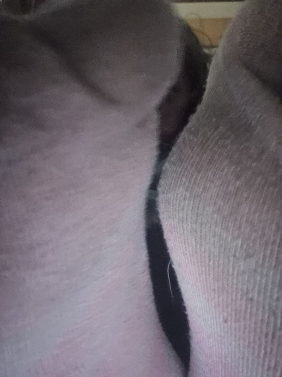 Lizzywadr's tweet photo. Feet for you freaks https://t.co/XerFIOzdFs