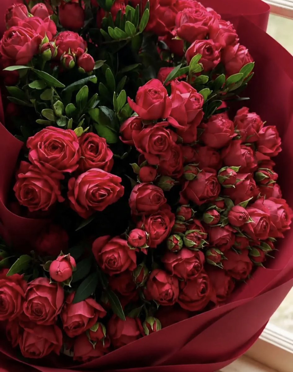 kkl226's tweet photo. -

-

                                         ما أرق اللحظه 
                             حين يبتسم القلب بصمت 
                                   كأنه عرف سراً جميلاً 

                                                    🕊 https://t.co/E35TMQ3ZTl