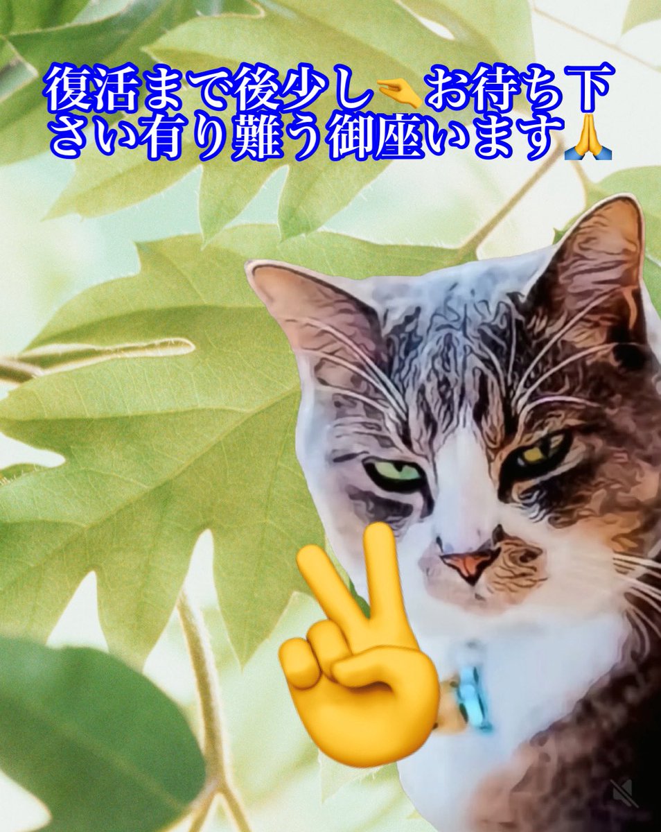 akb00481223's tweet photo. https://t.co/zspvlqBxCQ 友達🤝お元気でしたか✌️^ - ^山猫も何とか元気に過ごして降りました9月に突入しましたね沢山のメッセージ＆❤️‍🔥心から感謝🙏です復活までもう少し時間を下さいね9月もヨロシクどーぞ❤️‍🔥🐾🐾💘打撃の仕方が変わってビックリ‼️ドキドキ寄り又ね🫡👌友達🤝 https://t.co/TkQfuLv0yL
