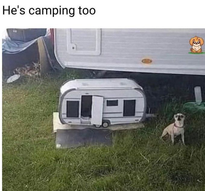 MemesOfCars's tweet photo. https://t.co/gfWBf8S3iO
