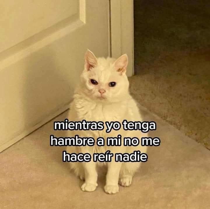 Mantequilla90's tweet photo. https://t.co/bSP4Cvp9uZ