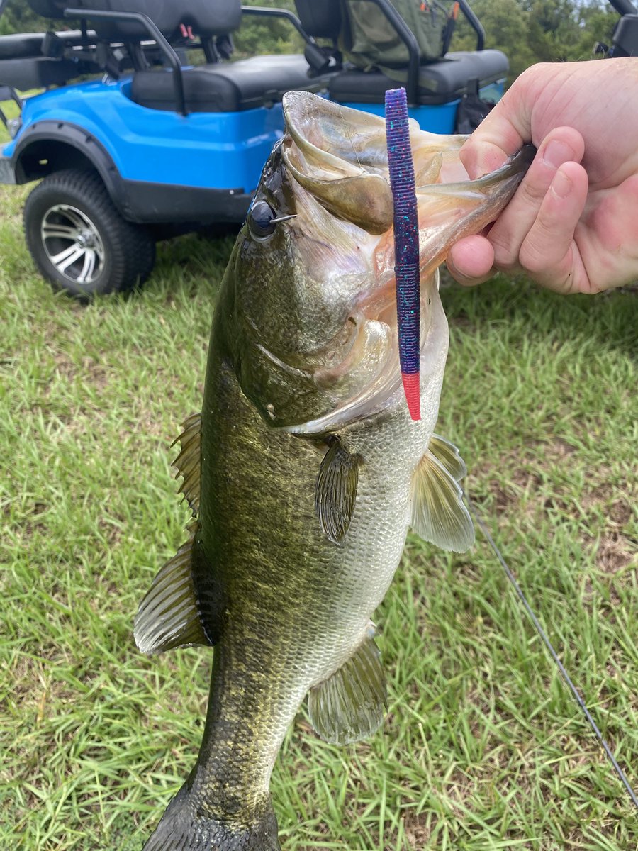 PondlifeBass's tweet photo. Got my 2026 pb of 5.14lbs. Not my largest but it feels good to break that 5. https://t.co/PwhcUeD3oj