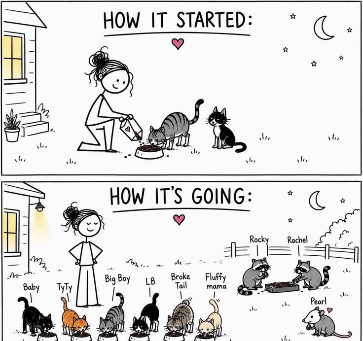 be_my_lunch's tweet photo. need more hoomans like this 📌 https://t.co/ONRXv3x2z3