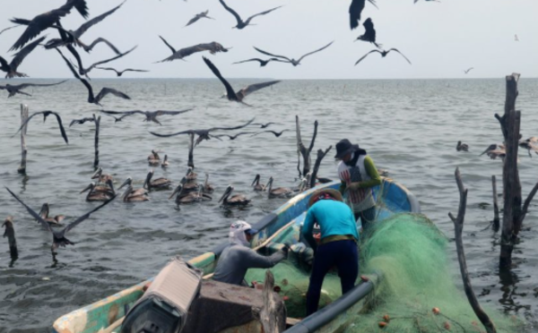 AhoraChiapasnot's tweet photo. 🔴#AHORA| 🎣⚫ Localizan a dos pescadores desaparecidos en Chiapas; uno perdió la vida

|#AhoraChiapas |#Noticias |#Chiapas |#Tonalá |#Pescadores |#ProtecciónCivil

Nota aquí: ⬇️
https://t.co/nvRTvVH8sp https://t.co/aaQzP89pEA