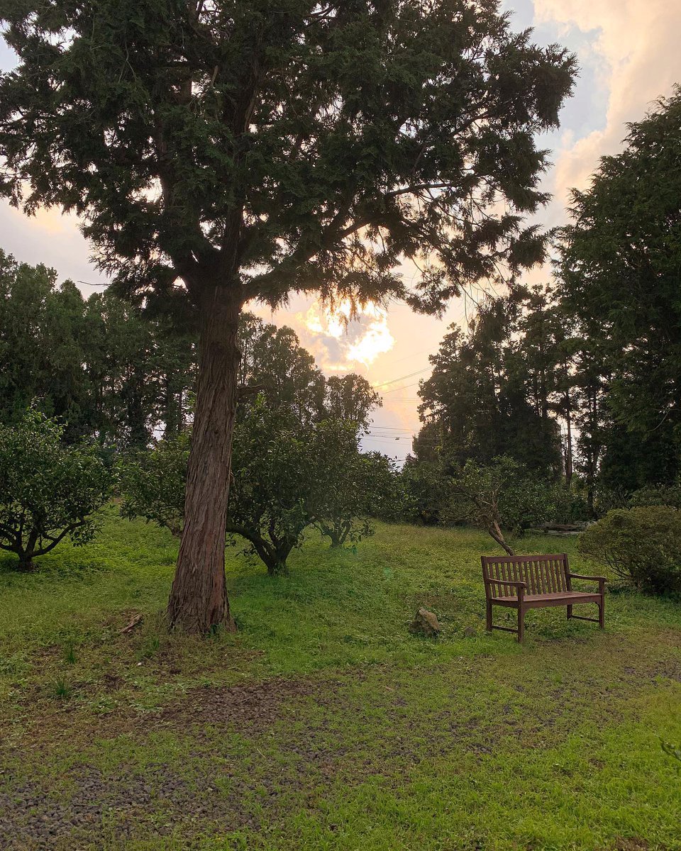 Anibar1994's tweet photo. Hey there! 🌞 Just wanted to say, you are stronger than you think and today is full of possibilities. 🌈
GJpoK https://t.co/0hgnacaWuj