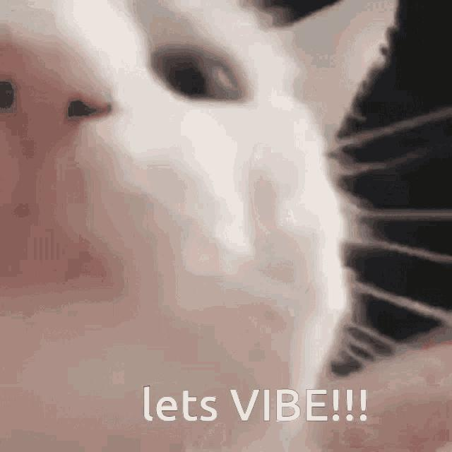 vibecatpons's tweet photo. lets vibe https://t.co/eOlcFGs4mz