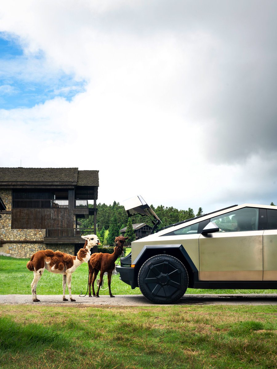 MayeMuskchat816's tweet photo. Beautiful photos; Model Y, Cybertruck and the local welcome committee 🦙
📍: Chongqing
📸: 公路映画 https://t.co/y21Y4rXf3Y