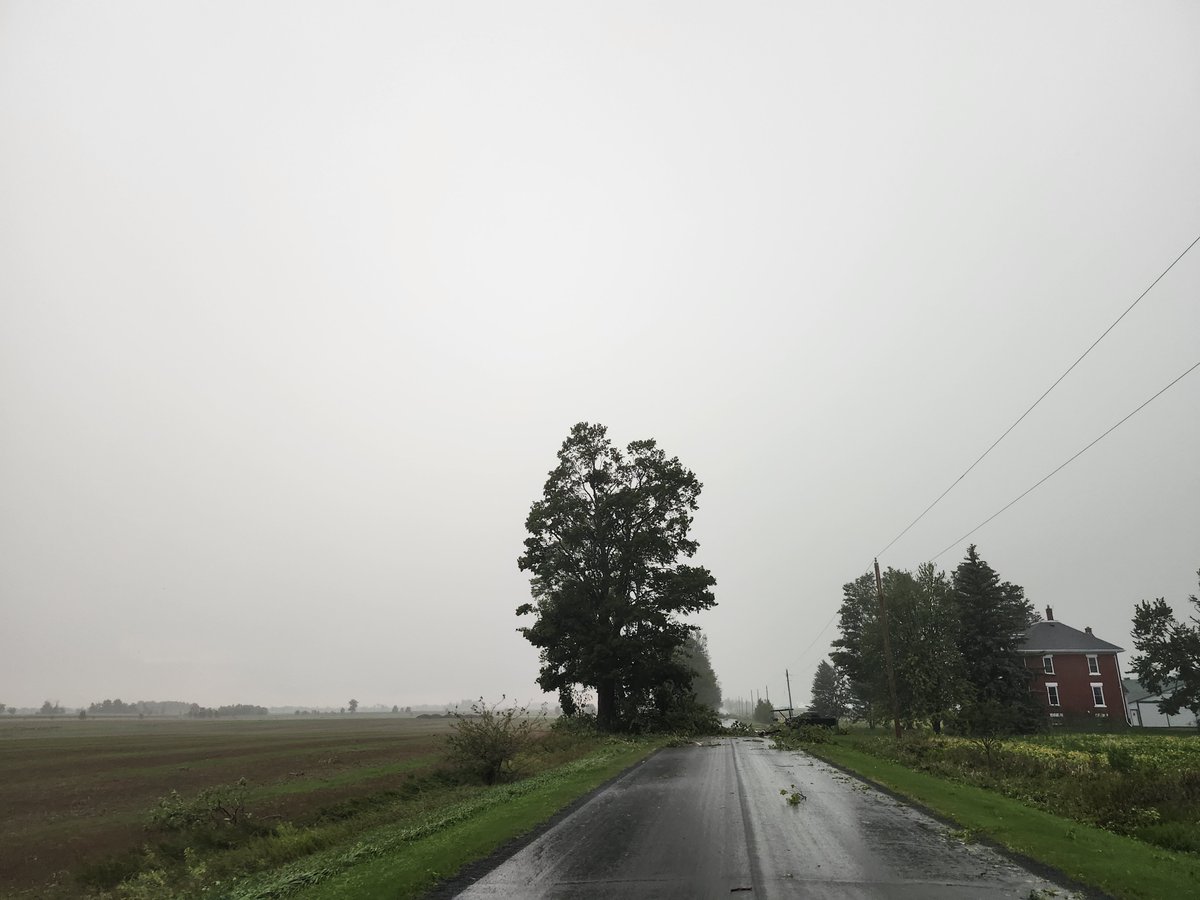 WxOntario1 tweet picture