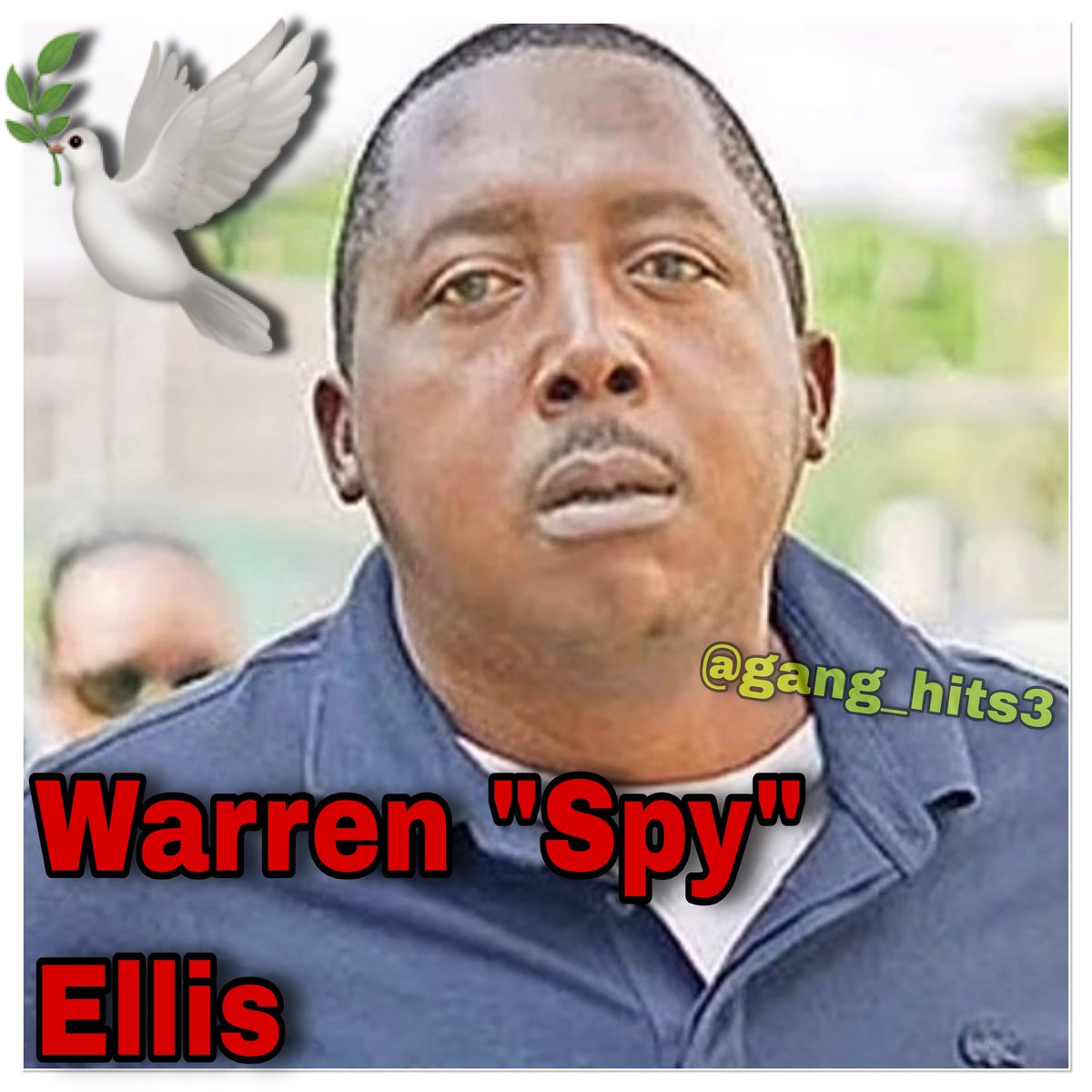 GangHits's tweet photo. (August 31, 2026)-
Marsh Harbour, Abaco, Bahamas📍

Warren “Spy” Ellis,51, a suspected drug kingpin, was shot and killed in an ambush outside an auto parts store.🕊️ 

A young boy nearby was struck in the leg by a stray bullet and was airlifted to the hospital.🙏🏾 https://t.co/Ej9I3Y7rk6