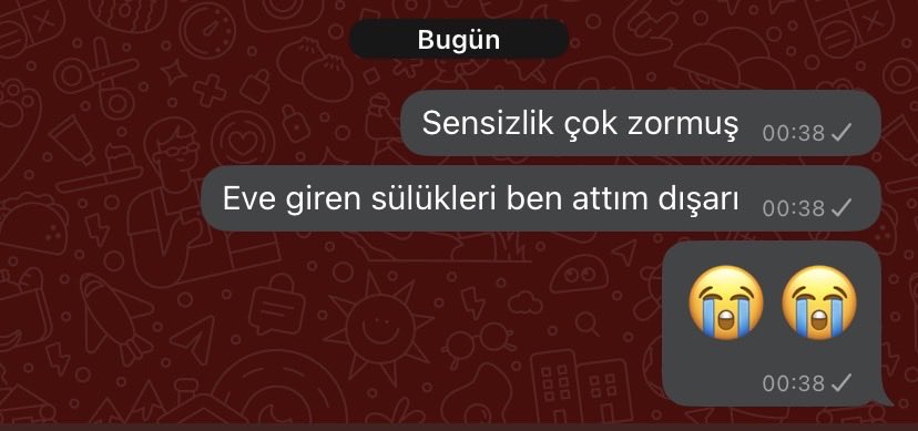 zeynepozlemsn's tweet photo. Tatildeki babama yaptığım drama queenlik https://t.co/VMQFjhjsDA