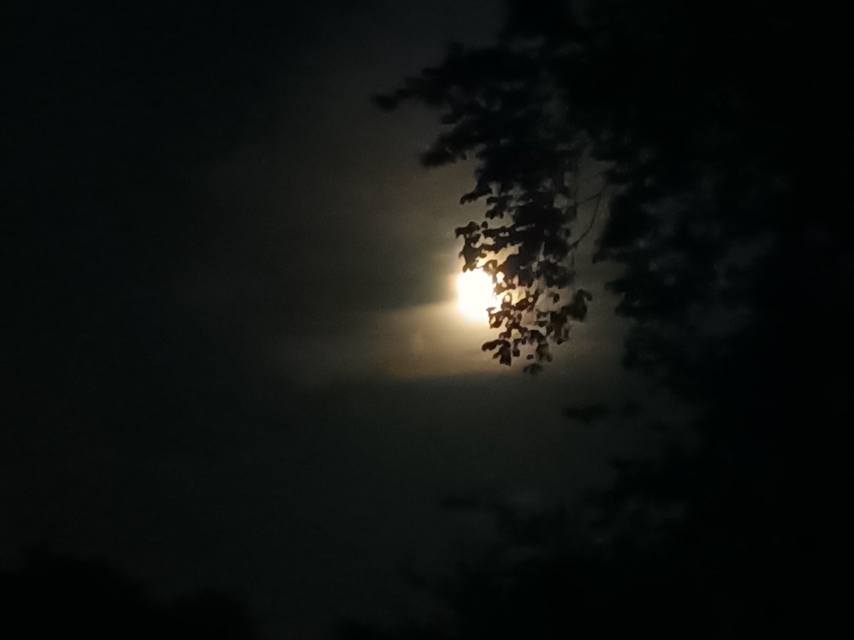 kristallnaach's tweet photo. #Sverige😘 #Schweden🦌#Sweden
😍 #GuteNacht 🇸🇪 #GodNatt 😝
#Elchenländle26 😆 #Urlaub26
#Alleinlage 🇸🇪 🐻 #ÖrebroLän26
#Stuga 🏚 am #See 🚣♂️ im #Wald 🌲 https://t.co/m2MMeqRY7D