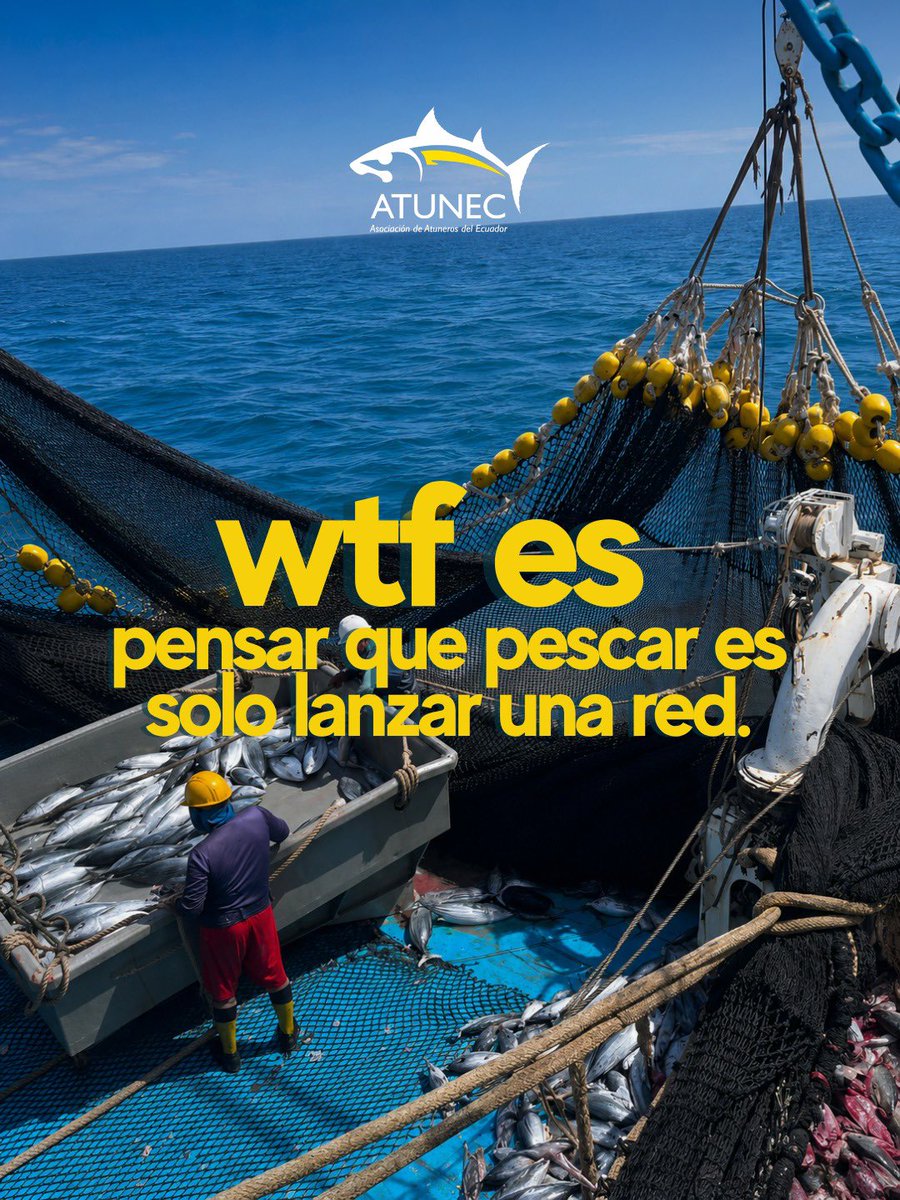 AtunecEC's tweet photo. ¿Creías que pescar era solo lanzar una red? 🎣 WTF es no conocer la fuerza de una industria que apuesta por la sostenibilidad y posiciona al Ecuador en el mundo. 🇪🇨🐟 Desliza y descubre por qué el atún ecuatoriano hace historia. 🌊 https://t.co/EJWFLqhBO7