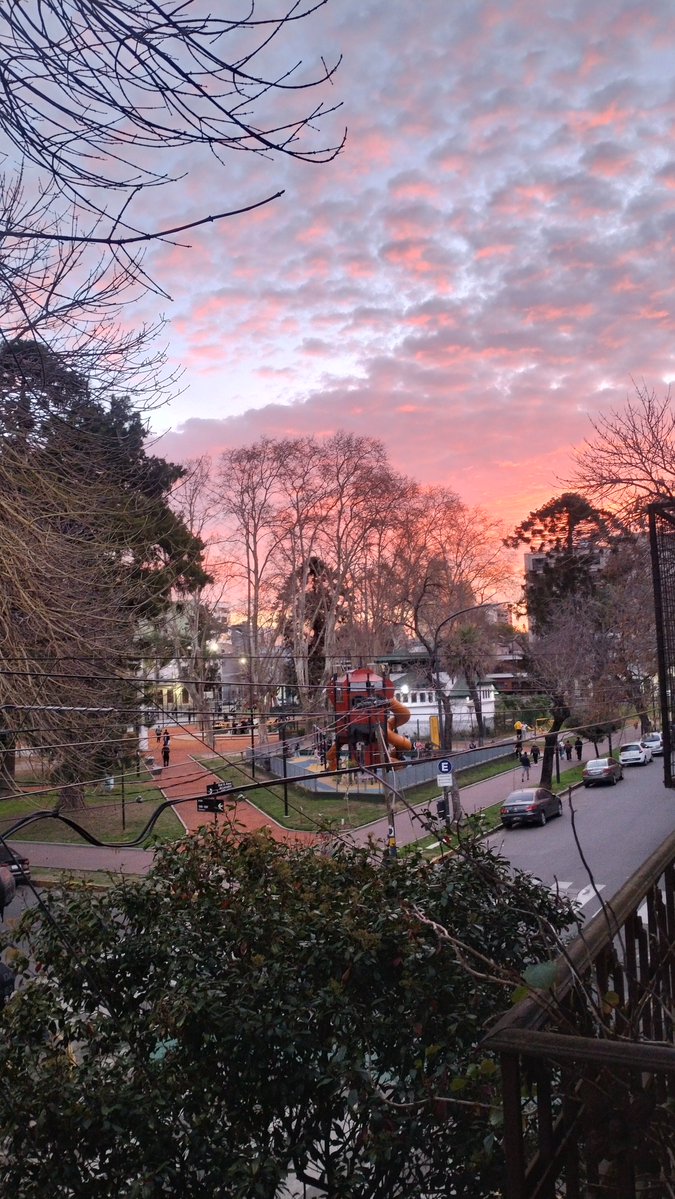 catamaw's tweet photo. #Atardecer #LaBoca #Caba ⛅🌿🇦🇷
#hacerfotos https://t.co/DkXFuAJh2x