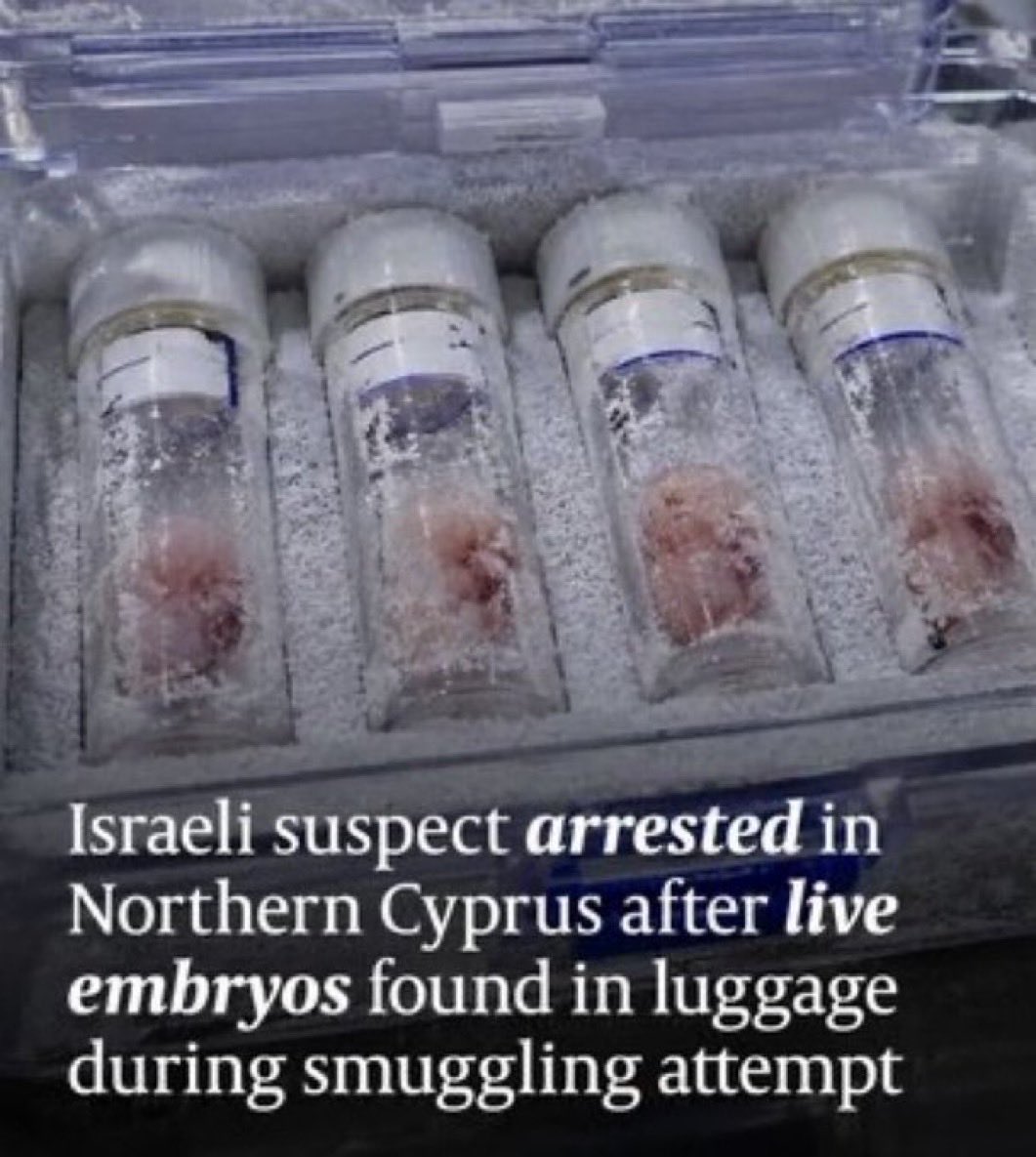 Truthtellerftm's tweet photo. Israeli tourists caught spreading their sizzling, cultural enrichment. 

The je/ws who caused a fire in Cyprus have been caught and beaten by the local population. Are you noticing a pattern yet of these kosher criminals in Cyprus, Greece, Patagonia, America, etc. ? 

Can the justice system even be trusted when they get to run away to Israel every time they get caught? 

Recall an Israeli criminal was also caught smuggling live embryos in Northern Cyprus last month.