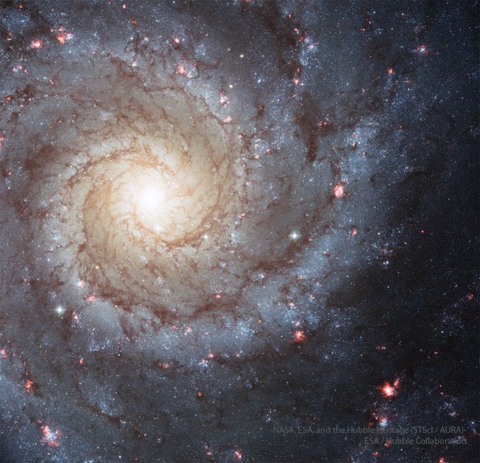 konstructivizm's tweet photo. M74: A Grand Spiral

This is a face-on spiral galaxy located 32 million light-years away in the constellation Pisces, containing approximately 100 billion stars. It is one of the most photogenic galaxies.

🔭 Classified as type Sc and a "grand-design" spiral, it features graceful arms adorned with blue star clusters and dark dust lanes. A composite image from Hubble reveals the reddish glow of hydrogen, marking vast regions of star formation.