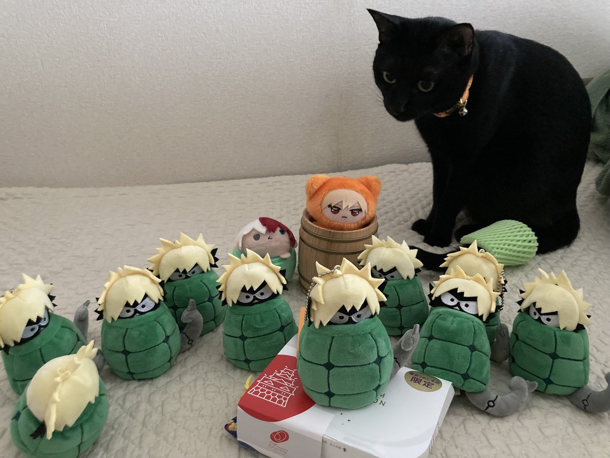 miwasansan3's tweet photo. 昨日。関西なまちゃんお迎え時、ネコカンもなまちゃん？になってたのです。 https://t.co/M2dbkoVtXX