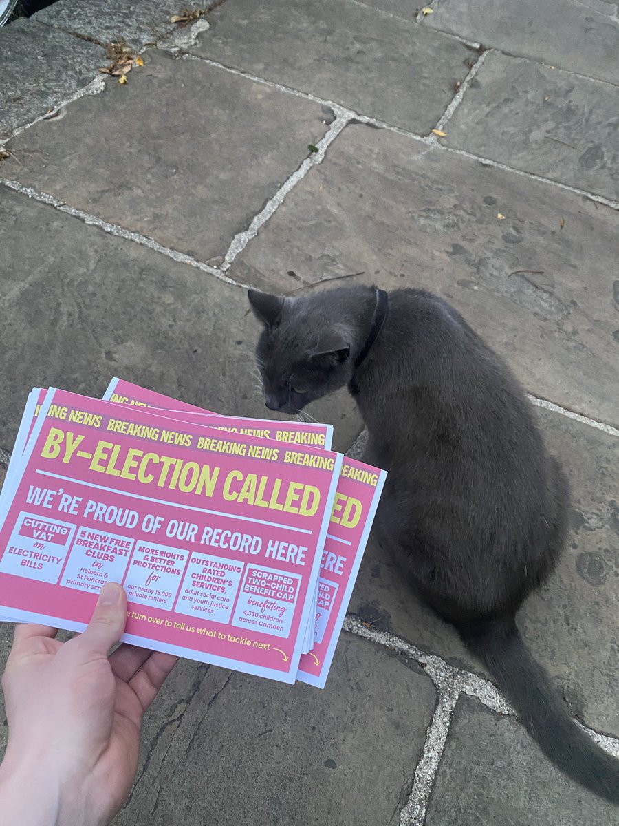 joethomas2006's tweet photo. First day campaigning in the Holborn &amp; st Pancras by-election!! 🎉🎉

Great turnout and an even better response 🌹 https://t.co/riMiDqS3sU
