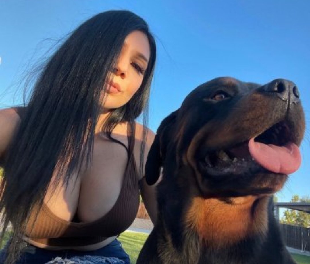 MaddieQueeo2's tweet photo. Looking for a reason to smile today? This furry face might be exactly what you need 🐶✨ Come back for more

https://t.co/bRMbCy4gVk… https://t.co/sT8vJsDx8Y
