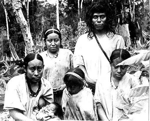 KingofCastizos's tweet photo. Muchas veces se ha pensado que los labios gruesos en las poblaciones mestizas son por herencia africana, cuando aparecen con cierta frecuencia entre los indios puros. https://t.co/0E6Y6tV6S8