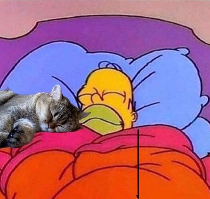 leviargentinoo's tweet photo. Lo hermoso de dormir una siestasa con mi miau miau al lado https://t.co/ytlxDu1syJ