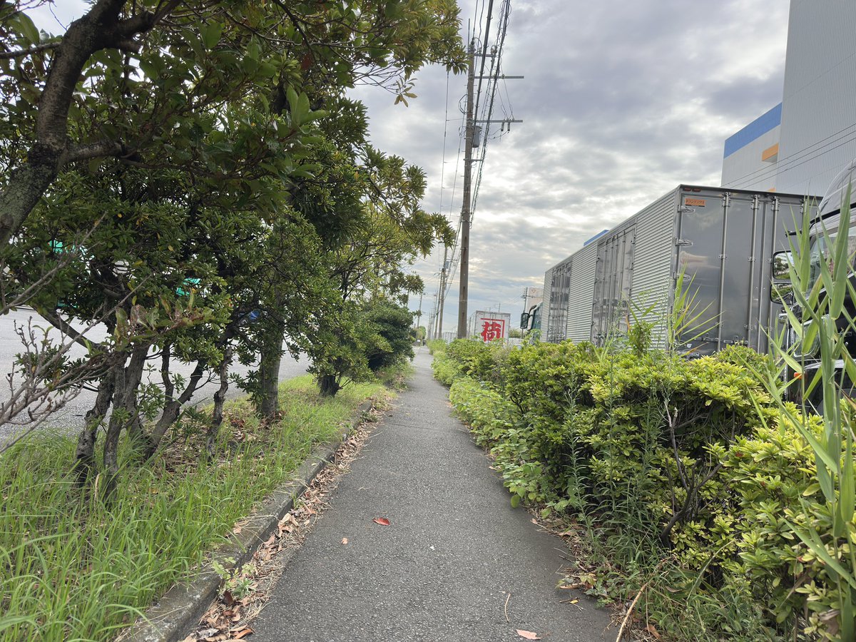 koha_deradera's tweet photo. 帰りヽ(`Д´)ﾉたい https://t.co/f0KhtHVsCe