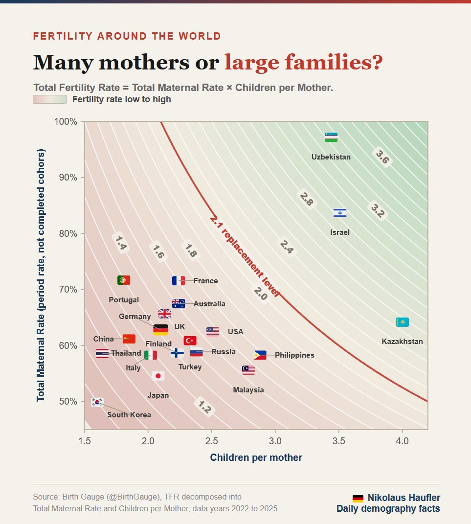 nikolaushaufler's tweet photo. Birth rates: What drives them? 

@BirthGauge says: Total Fertility Rate = Total Maternal Rate × Children per Mother.

Two countries, same fertility rate: 
🇫🇮 Finland at 1.31, with fewer mothers and larger families.
🇵🇹 Portugal at 1.30, with more mothers and smaller families.
🧵 https://t.co/vhmUECVJrf
