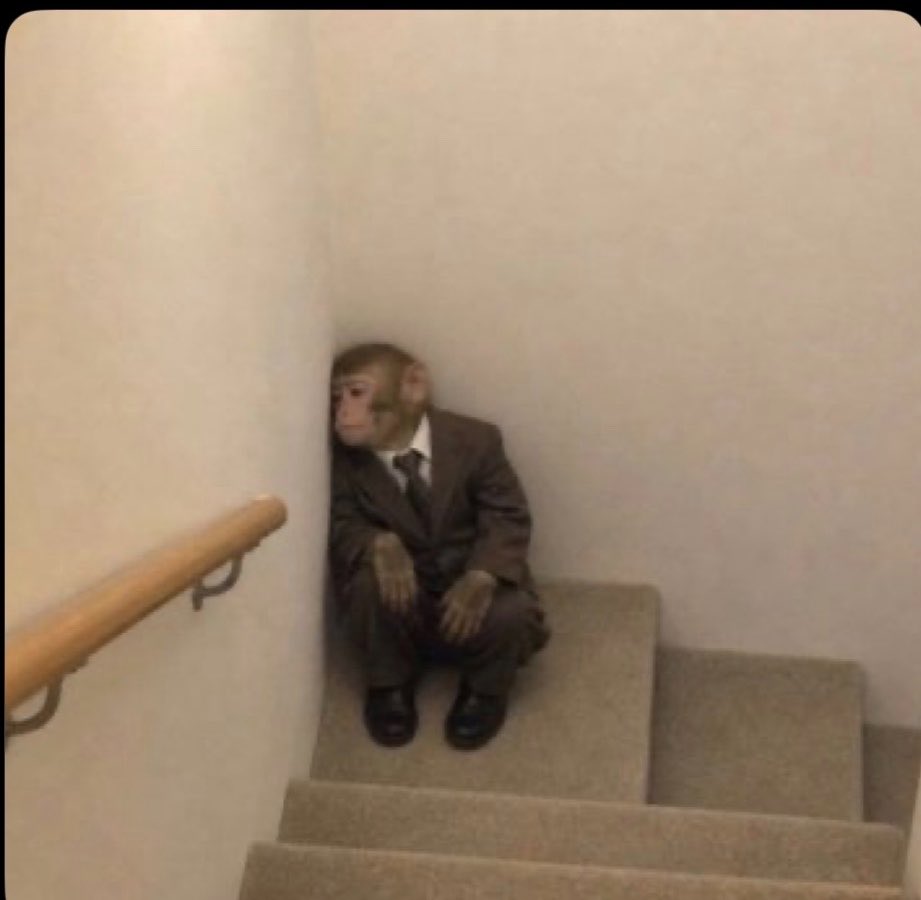 LiamRay23316018's tweet photo. Some people are actually right to cut us off,😔Now I have only 2k 🤌in my life🥹 https://t.co/7ZNPNgUczH