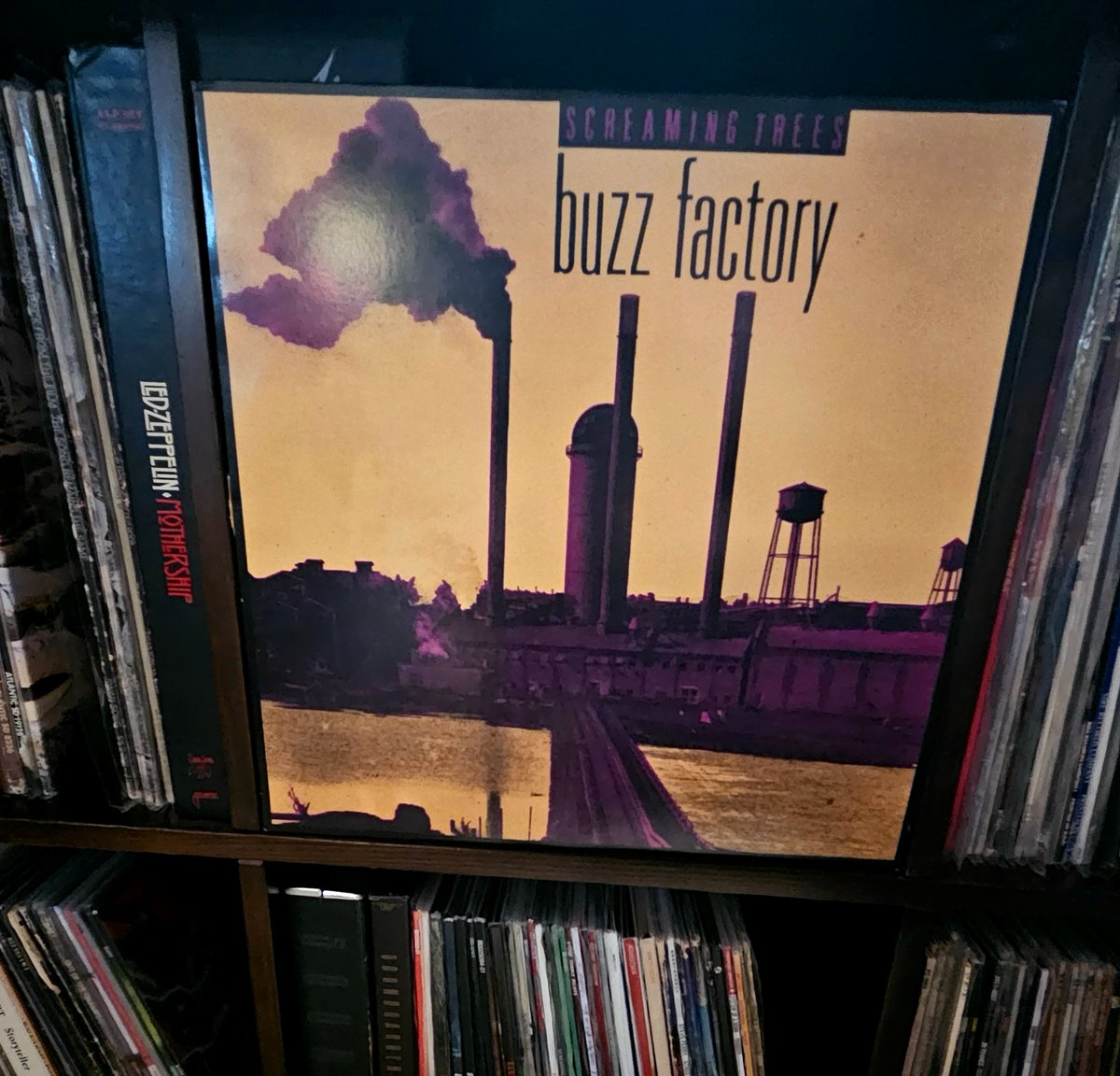 KilpatrickKeli's tweet photo. Screaming Trees • Buzz Factory 😎
1989 SST Records
@marklanegan #ScreamingTrees
You count every word I say
Over again you could find a way
Seven verses to magnify
Drop the feathers you will never fly https://t.co/ajDaWHUGLL