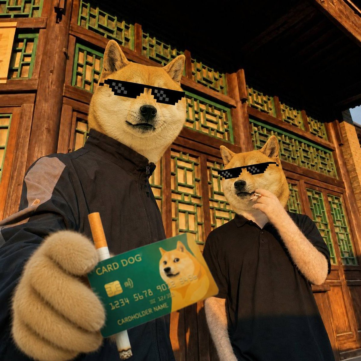 carddog_token's tweet photo. accepted here. accepted everywhere https://t.co/VccZ2GanXB
