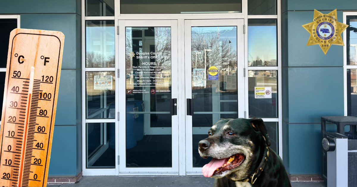 DCSheriffNE's tweet photo. Temperatures are going staying high throughout the rest of the week. Please remember that the DCSO Front Foyer is open 24/7 for anyone, human or pet, who needs reprieve from the elements. It is stocked with water, snacks, food (human and pet), and other essentials.

The Law Enforcement Center is located at 3601 N 156th Street, Omaha