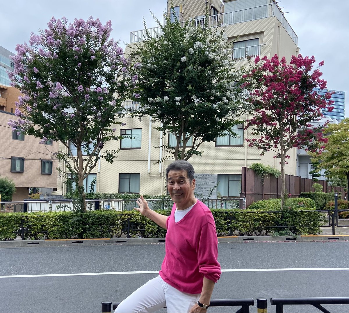 JunInoue20's tweet photo. グッモー✌️‘こんなに綺麗‘を独り占めはよくないよね♪今の季節の『さるすべり(百日紅)』。観てるだけで明るい穏やかな気持ちにしてくれます。この気持ちを皆さんに紹介しないとバチが当たりますよネ。皆さんの心に届きますように。“サンキュウ  さるすベリー  マッチ“ははは🤗 https://t.co/xUEEx4kxEs