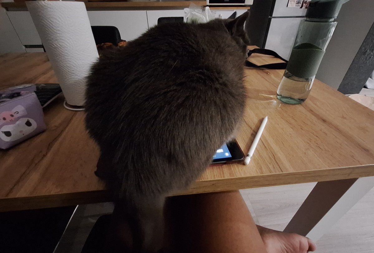 cutey_agression's tweet photo. commissions might arrive late, there's a strange cat on my ipad https://t.co/efmuGqzt7u