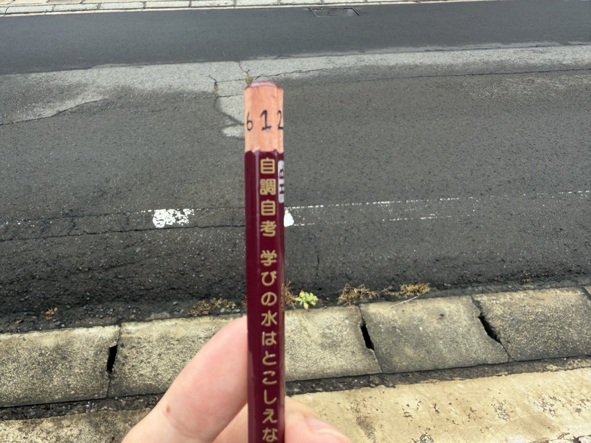 Xe_1026's tweet photo. 現役医学生が教える！CBT必携アイテム

①自調自考ダイス https://t.co/GfKvTUv0CN