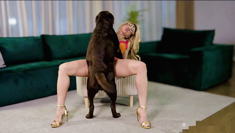 ChottuGhosh3's tweet photo. The public side stays limited.
Private doesn’t.
Link in bio or click below 

https://t.co/ZMmHlP46M6

#teenagegirls #NoLimit #Zoophilia #zopositivity #dogknotting #AUSummit2026 #dogwhore #horsephiles https://t.co/tCLVT8d65J