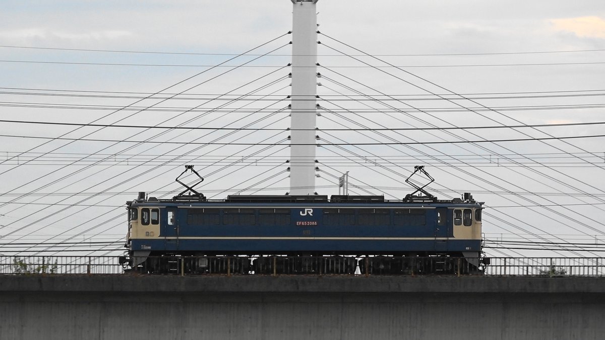 to38671_2's tweet photo. EF65 2088 単9598レ 2026/9/3 多摩川 動画①　 
昨日は撮れなかったので、シキ 返却単機だけでも。　 #EF65#シキ#返却単機 https://t.co/FiIkQTwZM8