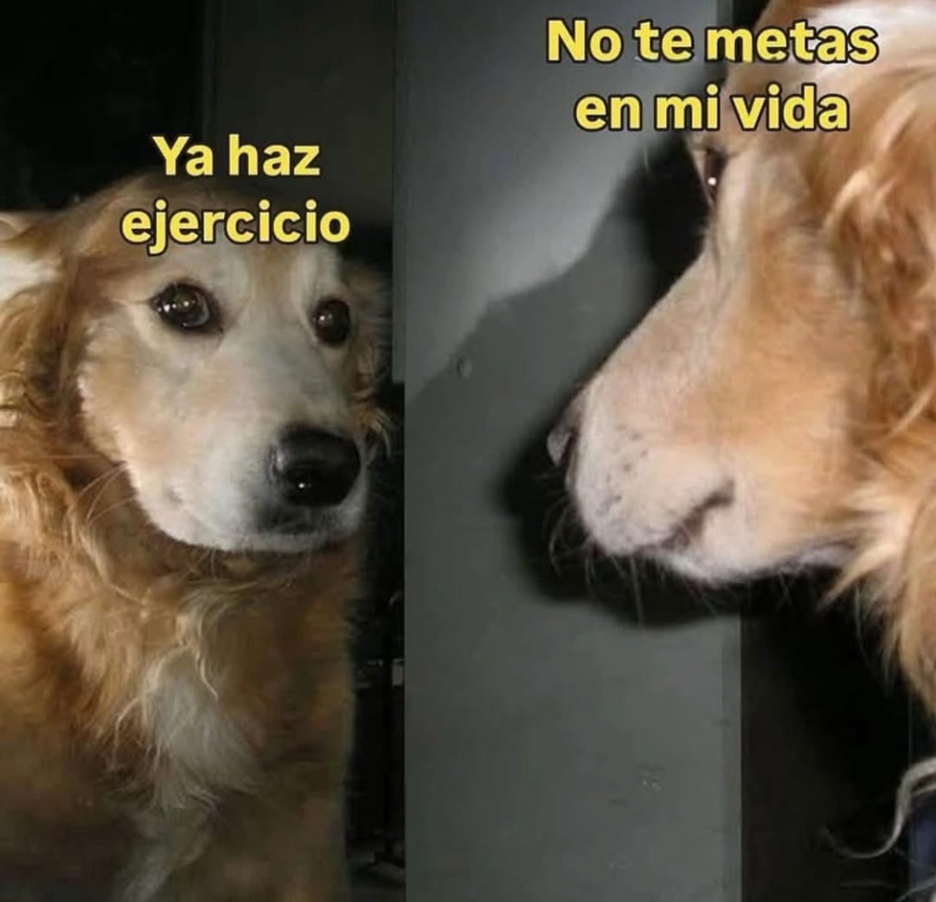 Guarromantico_'s tweet photo. Mood: https://t.co/dEaT8fIueO