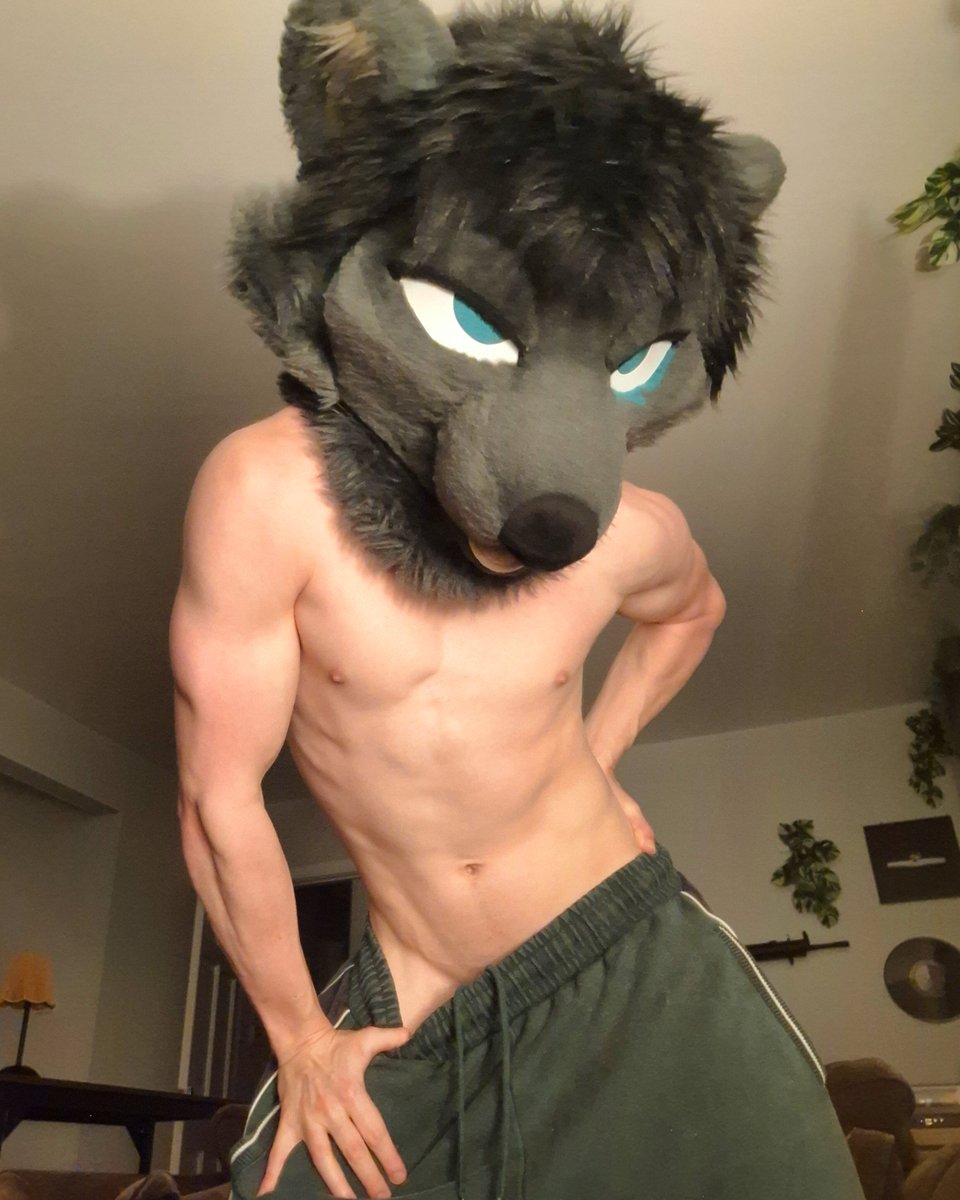Hytealracc's tweet photo. Wassup twitter #fursuit #murrsuit #gymfur https://t.co/RzVlVbNgOs