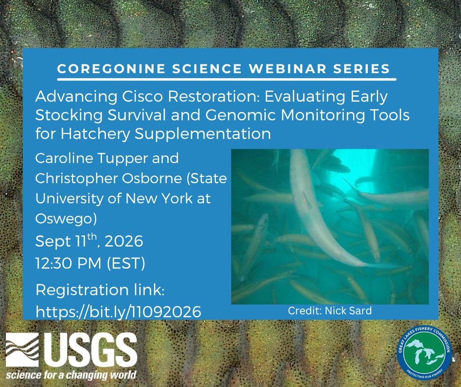 LampreyControl's tweet photo. School’s back in session, and so is the #CoregonineSciSeries! We have a great lineup for the rest of 2026, and we hope you can make it. First up: Advancing Cisco Restoration by Caroline Tupper and Christopher Osborne (SUNY Oswego) 🐟

Register now: https://t.co/4XEcQ48te7 https://t.co/J9QmQRAgrr