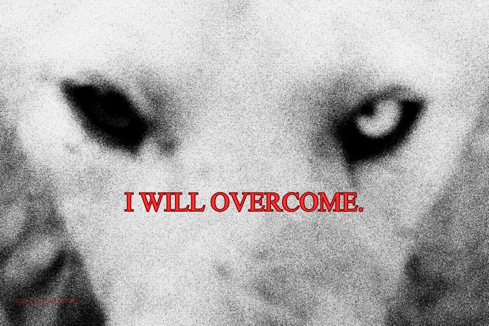 NEVERDOOMPRO's tweet photo. NEVER DOOM. https://t.co/lcxYK5hhbp