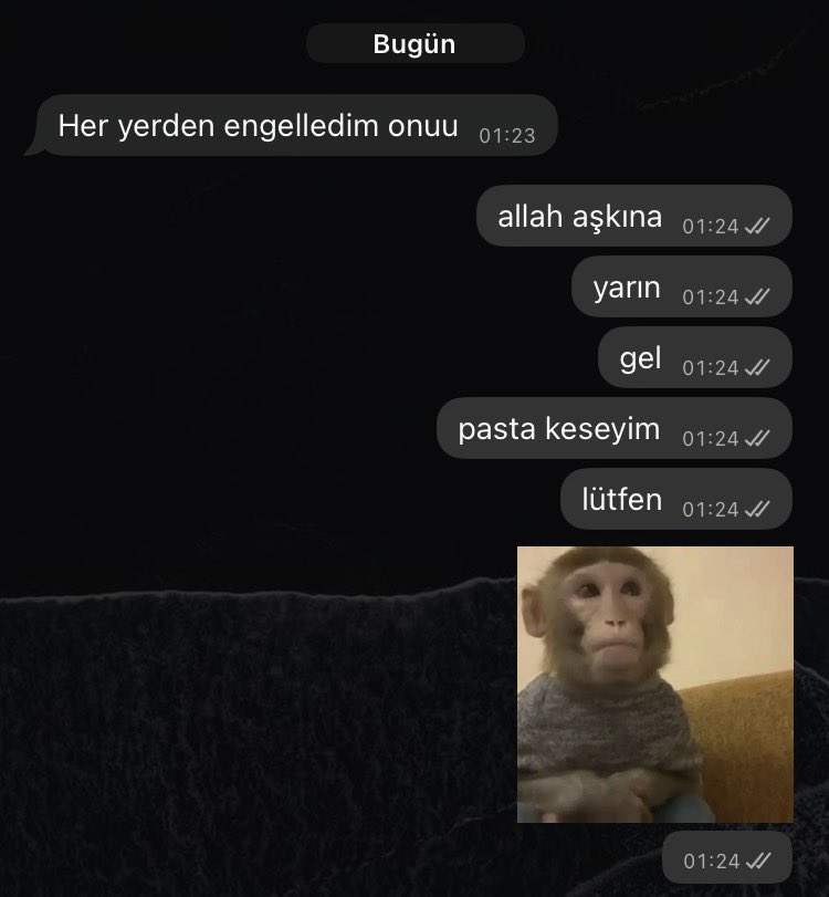 sahsizorba's tweet photo. eniştecilik yapan kızların yanında biz https://t.co/7R7ByCo61l