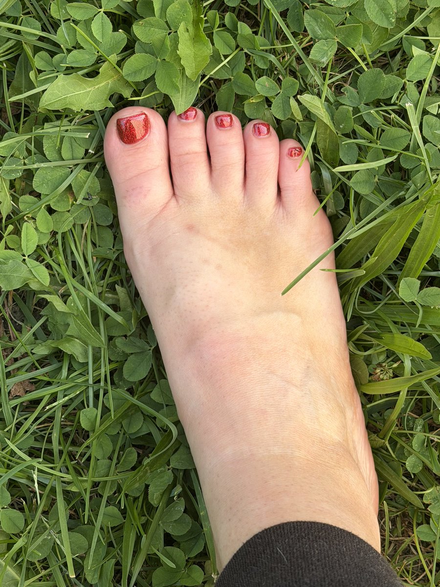 BeckySteps's tweet photo. Becky escaped the shoes again 🤭🌿👣
Think the red toes look better in the grass? ❤️✨ https://t.co/bqrkpbjsMj