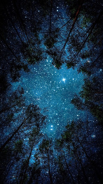 KayleeHawktl's tweet photo. 最近は出社前後に撮影を兼ねた散歩を日課にしているんだけど、朝の空気がだいぶ涼しくなってきて、体がやわらかく動くようになってきた。 https://t.co/lBAHqOy0Wg