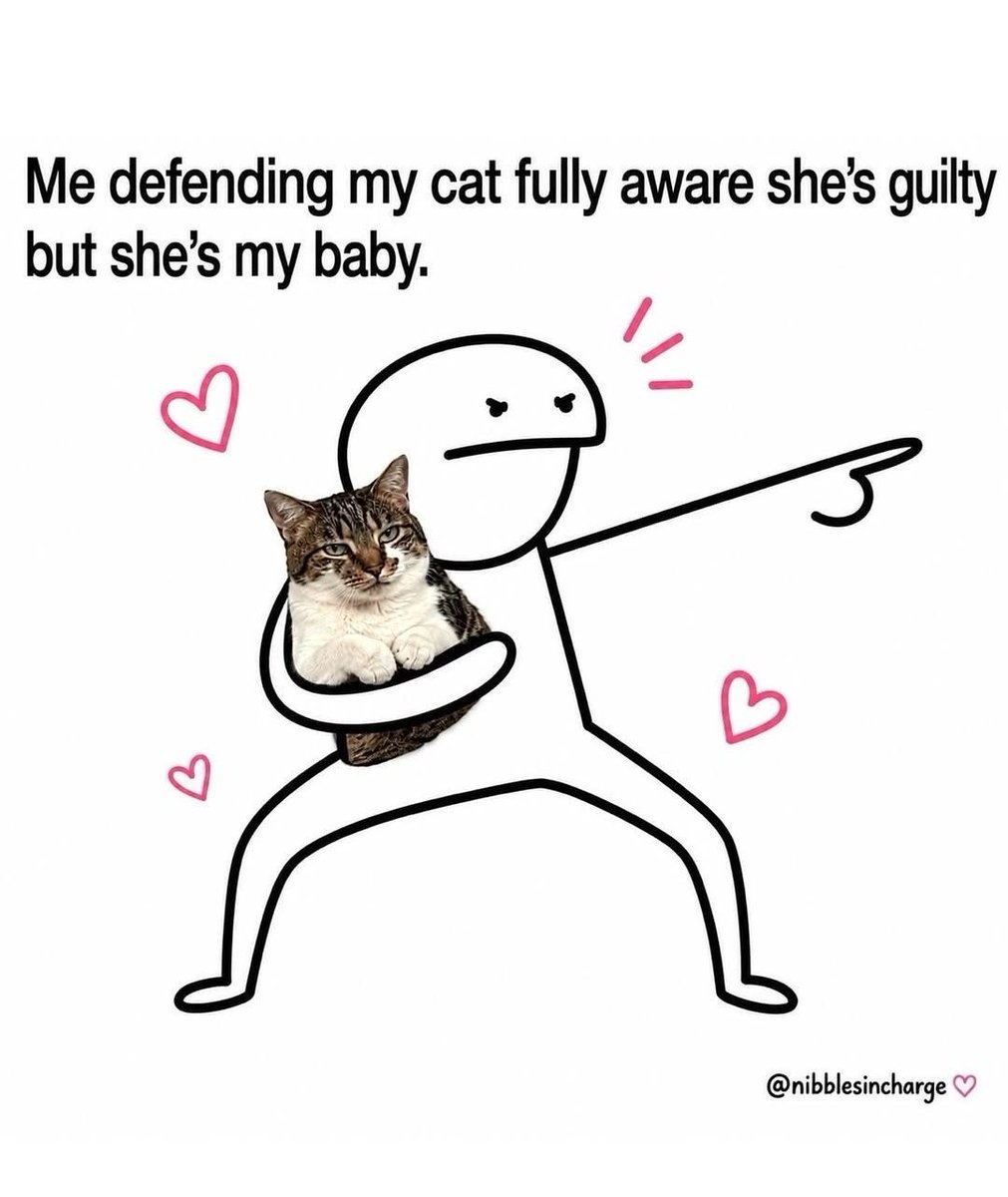 Cats_ooc's tweet photo. https://t.co/bHebTcSErC