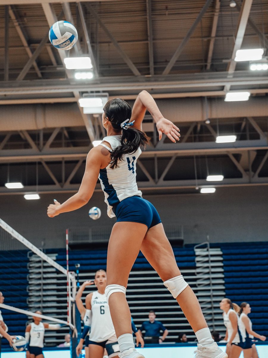 PeacocksVB tweet picture