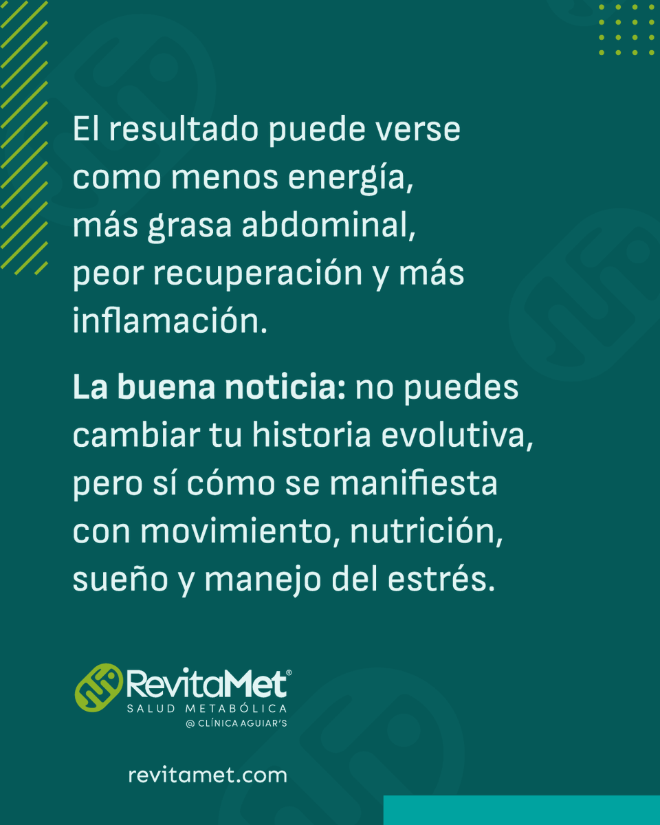 revitamet's tweet photo. Después de los 40, tu biología choca con el entorno moderno. Descubre cómo proteger tu energía y salud metabólica. Post completo en el RevitaBlog: https://t.co/uv7WyWppJC https://t.co/RhHXnczte0